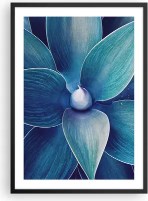 Produktbild von Gerahmtes Poster - Schwarzer Rahmen - Agave Blau Blume - 50x70 cm - Wand Bild - Wanddeko - Wandbilder - Kunstposter - Wandposter - Bilderrahmen - Bilder - Kunstdruck - Wanddekoration - P2BPA50x70-4972
