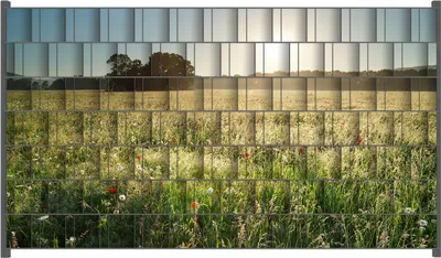 Produktbild von Wallario Zaunsichtschutz mit Motiv Wiese im Licht der Abendsonne für Ein- und Doppelstabmatten Zäune in der Größe 250 x 140 cm