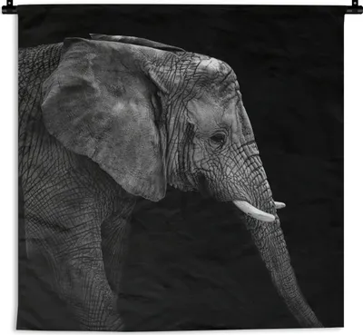 Produktbild von MuchoWow® Wandteppich Wandbehang Elefant - Schwarz und weiß - Porträt - Tiere 90x90 cm Tapisserie Dekoration Wandtuch - Wandaufhänger