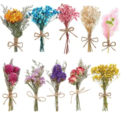 Trockenblumen-Set, 10 Bund, gemischt, 10 cm, für DIY und Dekoration