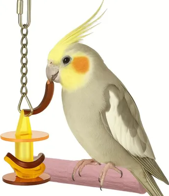 Imagen del producto de Juguete interactivo de acrílico para loros | Aros de colores, 17 cm de largo