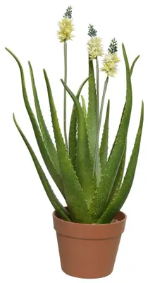 Produktbild von Kunstpflanze Agave Polyester grün H 60 cm Ø 13 cm