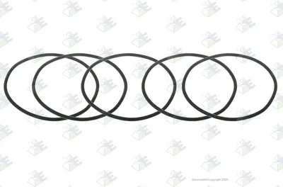 Produktbild von Euroricambi Dichtring 95531923 0,004kg