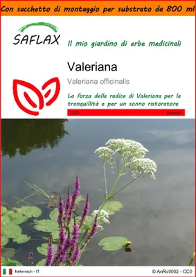Immagine prodotto di SAFLAX Garden in the bag - Valeriana - 200 semi - Valeriana