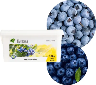 Imagen del producto de Fertilizante primaveral multifactorial Emerald para arándanos, 1,75 kg