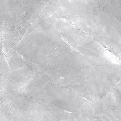 Produktbild von Bodenfliese Feinsteinzeug Messina 60 x 60 cm grau