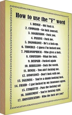 Produktbild von vianmo Holzschild 18x12 cm How to use the F. word Dekoration