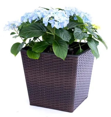 Produktbild von Elegant Einrichten | Pflanzkübel | Polyrattan | quadratisch konisch | 26x26x24cm | coffeebraun.