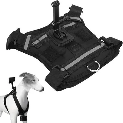 Produktbild von Hunde-Halterung - Aktivitätskamera - Verstellbarer Hunde-Halsband - Schwarz - Halsband für Hunde - Geeignet für kleine, mittelgroße und große Hunde