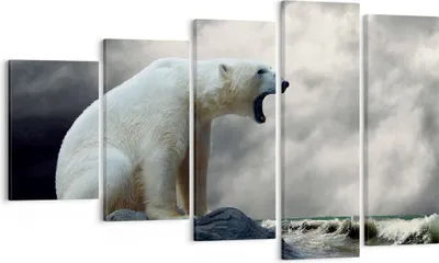 Produktbild von Bild auf Leinwand - Leinwandbild - Bär Tiere Wasser Eis - 100x60cm - Wand Bild - Wanddeko - Leinwanddruck - Bilder - Kunstdruck - Wanddekoration - Leinwand bilder - Wandkunst - EG100x60-2451
