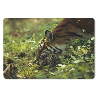 Produktbild von MuchoWow® Schreibtischunterlage Tiger - Pflanzen - Jungtier 60x40 cm - XXL Mauspad - Großes Mauspad