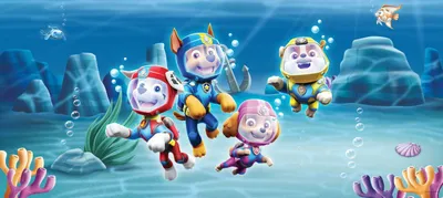 Produktbild von Sanders & Sanders Poster PAW Patrol Blau - 601277 - 1.7 x 0.75 m