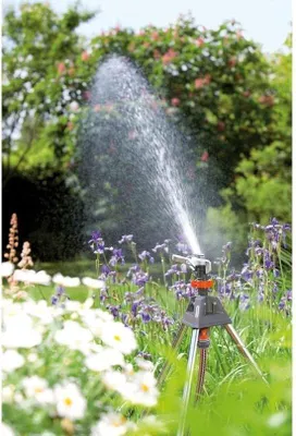 Image de Arroseur de jardin d'été pour pelouse