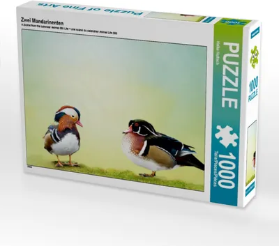 Produktbild von Calvendo Zwei Mandarinenten 1000 Teile Puzzle quer 640x480mm, Hultsch Heike; 7288102