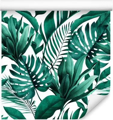 Produktbild von 10m VLIES TAPETE Rolle Natur Pflanzen Blätter Palmen Monstera Tropen XXL