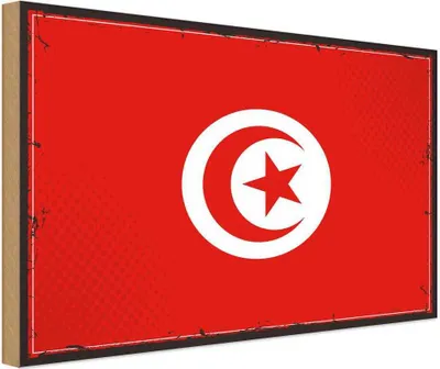 Produktbild von vianmo Holzschild 30x40 cm Tunesiens Retro Tunisia Flagge Fahne Wappen