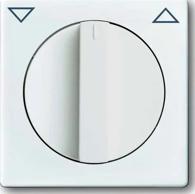 Produktbild von BUSCH JAEGER 1710-0-3172 - Weiß - Busch-Jaeger - 1101-0-0534 1101-0-0542 1101-0-0559 1101-0-0567 - 63 mm - 63 mm - 1 Stück(e)