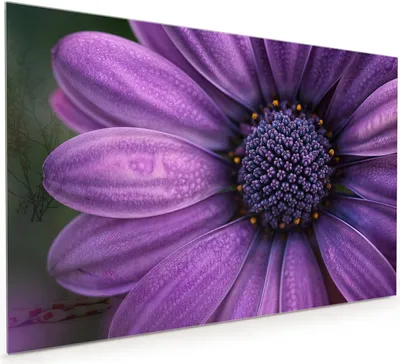 Produktbild von Küchenrückwand Spritzschutz Glas mit Motiv Lila Blütenwunder 40 x 40 cm