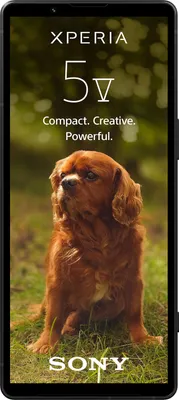 Produktbild von Sony Xperia 5 V