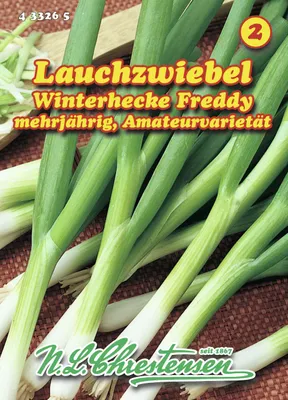 Produktbild von Lauchzwiebel Winterhecke | Zwiebelsamen von N.L. Chrestensen