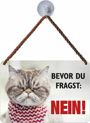 Produktbild von Kulthänger Blechschild Katze Nein, KH 158