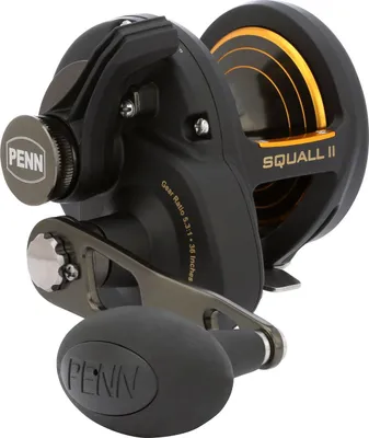 Produktbild von Penn Squall II 25 Lever Drag Right - Multirolle