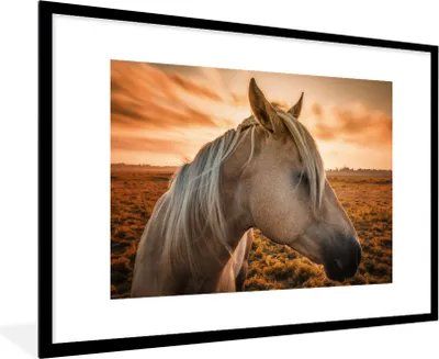 Produktbild von MuchoWow® Gerahmtes Poster Pferd - Tiere - Porträt 90x60 cm - Poster mit Schwarzem Bilderrahmen Wandposter Rahmen Foto Bilder - Wanddekoration - Fotos