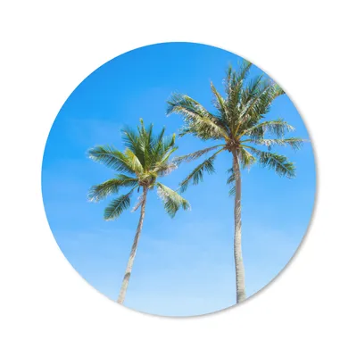 Produktbild von MuchoWow® Mauspad Mousepad Palme - Sommer - Tropisch 50x50 cm - Mousepads - Maus Mat - Pad - Mausunterlage - Vinyl