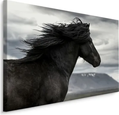 Zdjęcie produktu dla Obraz do salonu koń chmury krajobraz 3D ozdoba Ścienna modna abstrakcyjna 90x60cm