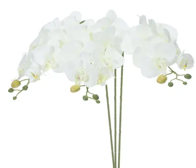 Immagine prodotto di Set di 3 orchidee artificiali con 7 fiori, ideali per la decorazione