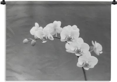 Produktbild von MuchoWow® Wandteppich Wandbehang Orchidee - Blumen - Pflanze - Weiß - Lila 60x45 cm Tapisserie Dekoration Wandtuch - Das Schlafzimmer