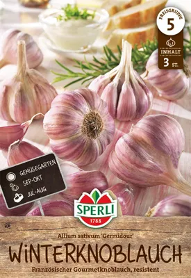 Produktbild von SPERLI Winterpflanzknoblauch Germidour - violett Allium sativum 3 Knollen