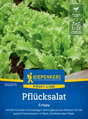 Produktbild von Kiepenkerl Pflücksalatsamen Crispy Lactuca sativa 120 Pflanzen