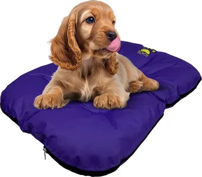 Produktbild von EVE Textile Hundebett Katzenbett 70x50x5 cm Lila Hundekorb Katzenkorb Hundekissen Katzenkissen Hundesofa Katzensofa Bett für Haustiere Hund und Katze