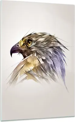 Produktbild von Bilder auf glas - Einteilig - Adler Vogel Feder - 70x100cm - Glasbilder - Wandbilder - Bilder - zum Aufhängen bereit - Wanddekoration aus Glas - Glas Bilder - Wandbild auf Glas - GPA70x100-3936