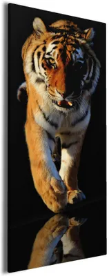 Produktbild von Wallario Premium Leinwandbild Laufender Tiger in Größe 50 x 125 cm