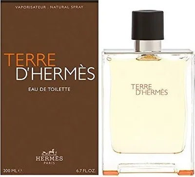 Produktbild von Hermes Terre D Pour Homme Eau De Toilette 200ml  One Size