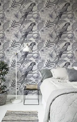 Produktbild von Coloray Fototapete 250x104 cm Latextapete Magicstick - Papageien