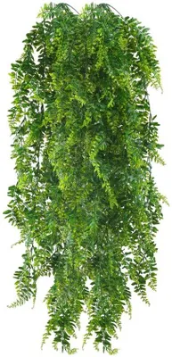 Image de Lot de plantes - Plantes d'intérieur - Lot de 2 - 115 cm - Vert