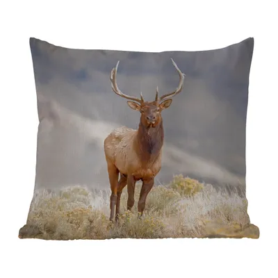 Obrázek produktu pro MuchoWow® Vnější polštář - Jelen - Hora - Tráva -50x50 cm- Odolnost proti povětrnostním vlivům - polštář do obývacího pokoje