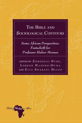 Produktbild von The Bible and Sociological Contours