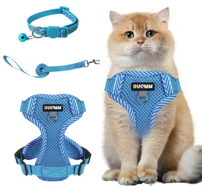 Katzenhalsband- und Leinenset, ausbruchssicher, blau, M