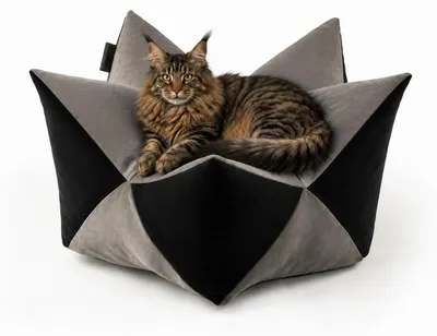 Productafbeelding van lionto kattenmand, hoogwaardig sterrenbed van imitatie suède, ademend, wasbaar en vormvast, 85x45 cm, grijs/zwart