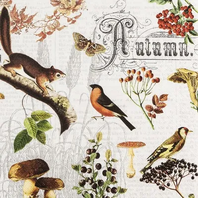 Produktbild von 20 Servietten Autumn Collage - Vintage im Herbst  33x33cm