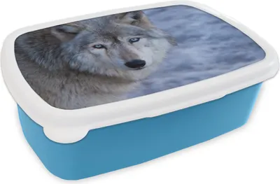 Obrázek produktu pro KitchenYeah® Lunchbox Box na oběd 17x11 cm hlava šedého vlka dětský box na oběd - oběd - plastový - sendvičový box - box na oběd pro děti