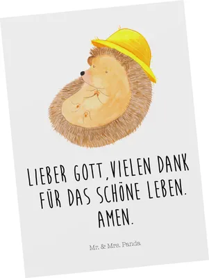 Produktbild von Mr. & Mrs. Panda Postkarte Igel Beten - Weiß - Geschenk, Leben, Dankbarkeit, Sonnenhut, Lustige Sprüche, Postkarten, Ansichtskarten, Ansichtskarte, Genießen, Fotokarte