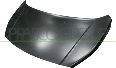 Produktbild von PRASCO FD7503100 Motorhaube für FORD ECOSPORT
