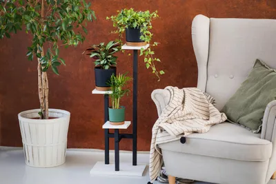 A plant stand with three potted plants next to a chair with a blanket.