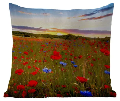 Produktbild von MuchoWow® Outdoor Kissen - Blumen - Sonnenuntergang - Farben - 50x50 cm - Wetterfest - Lounge Kissen - Komfortabel - Kissen mit Bild