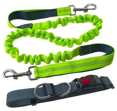 Produktbild von Freihändige Hundeleine Grau Verstellbarer Hüftgurt Dehnbare Bungee-Leine Jogging Hundeleine Reflektierend